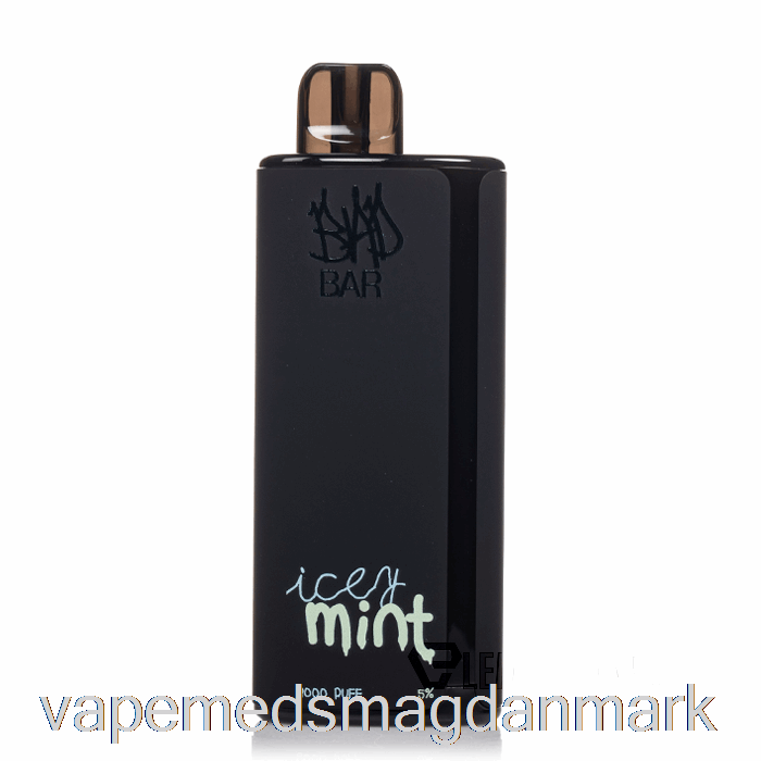 Vape Uden Nikotin Bad Bar 8000 Engangs Icey Mint